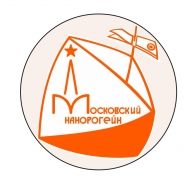 Московский Нанорогейн 2021. 5 этап